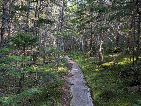 Mount Resolution, NH