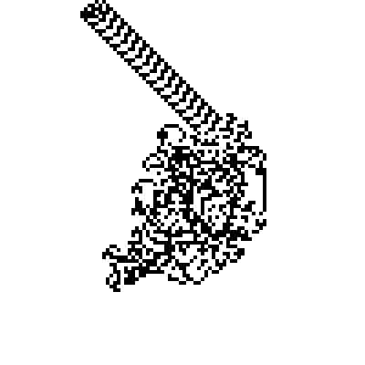 Image of a single ant after 11,669 iterations